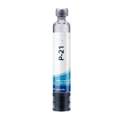 P-21 (cartridge) / П-21